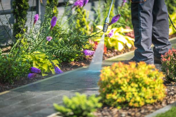Best Gutter Cleaning  in Wetumpka, AL